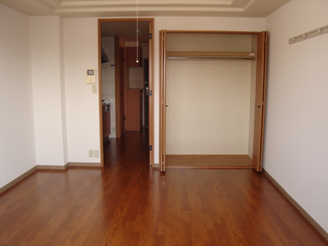 収納　洋室(クローゼット内観)