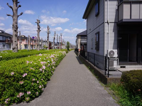 その他　現地周辺街並み（その他）まで5m