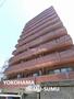 プランドール横浜 7階 築30年の賃貸物件