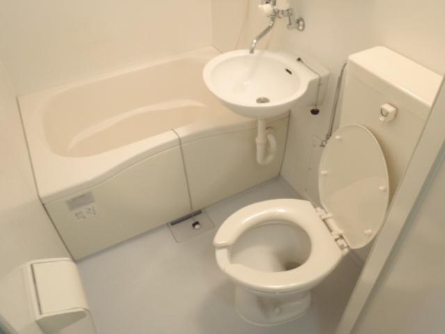 ドムヒカワダイの風呂写真