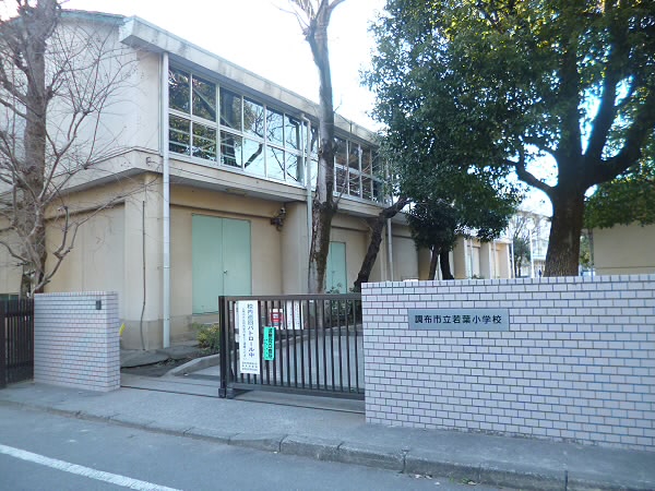 小学校　若葉小学校（小学校）まで281m