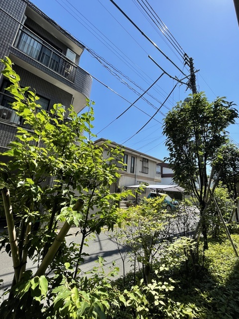 眺望