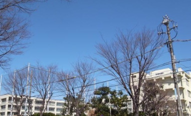 小学校　江東区立越中島小学校（小学校）まで589m