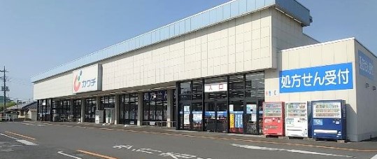 ドラックストア　カワチ薬品谷田部店（ドラッグストア）まで3381m