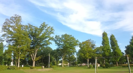 公園　高野台緑地公園（公園）まで278m
