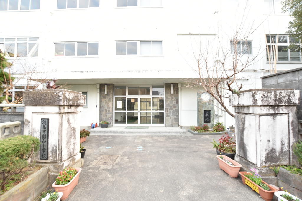 小学校　徳島市立昭和小学校（小学校）まで599m