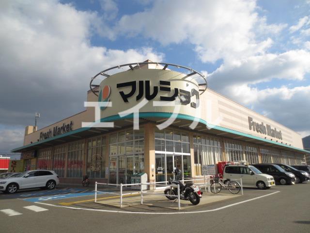 スーパー　マルショク今宿店（スーパー）まで805m
