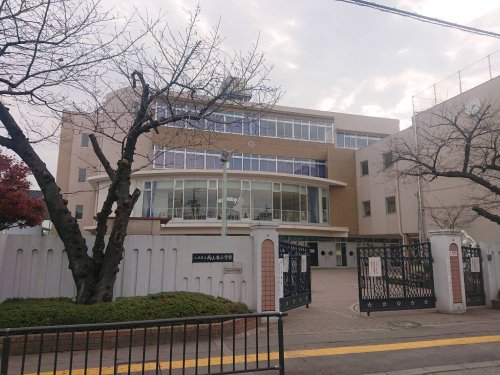 【八尾市山本高安町のマンションの小学校】