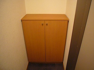 玄関　同物件、別のお部屋の参考写真になります