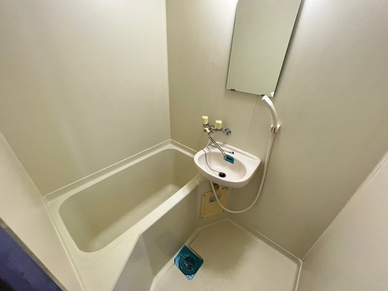 バス・シャワールーム　※他号室の写真です