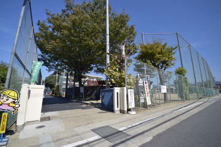 小学校　天理市立前栽小学校（小学校）まで305m