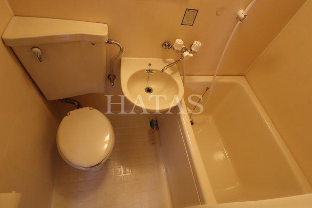 バス・シャワールーム　同物件別部屋です。