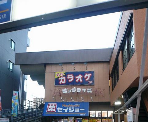 ドラックストア　セイジョー羽田店（ドラッグストア）まで482m