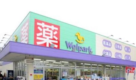 ドラックストア　ウェルパーク墨田立花店（ドラッグストア）まで389m