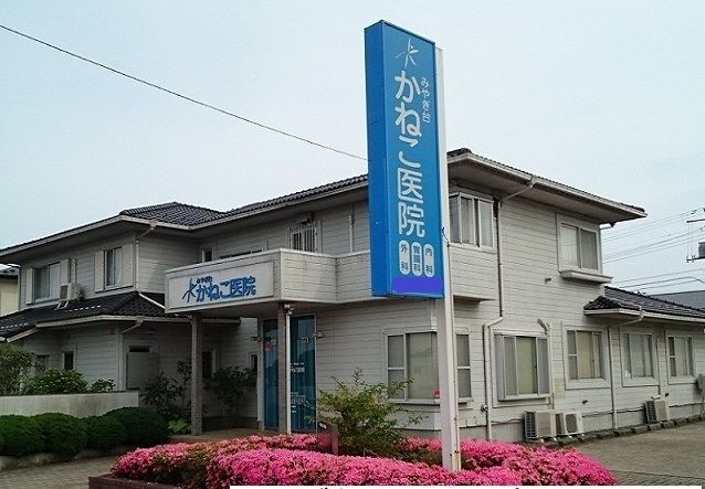 病院　みやぎ台かねこ医院（病院）まで200m