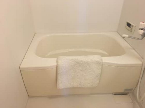 バス・シャワールーム　※他号室の写真です。