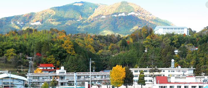 小学校　広島市立湯来南小学校（小学校）まで1004m