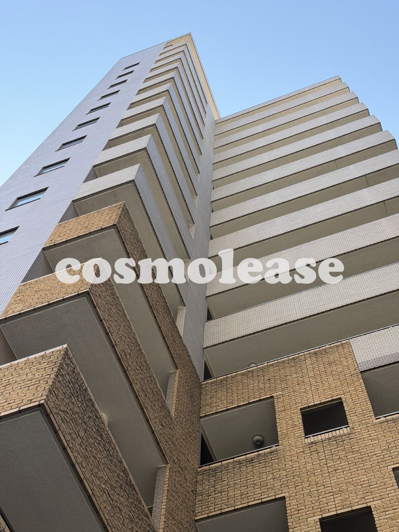 建物外観　定期借家（再契約）ねこ・小型犬 飼育相談可