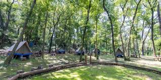 公園　稲城ふれあいの森（公園）まで611m