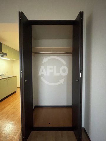 収納　エクセレント上新15　クローゼット