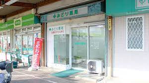 病院　緑ケ丘井上内科診療所（病院）まで609m