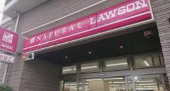 コンビニ　ナチュラルローソン NL八雲三丁目店（コンビニ）まで722m