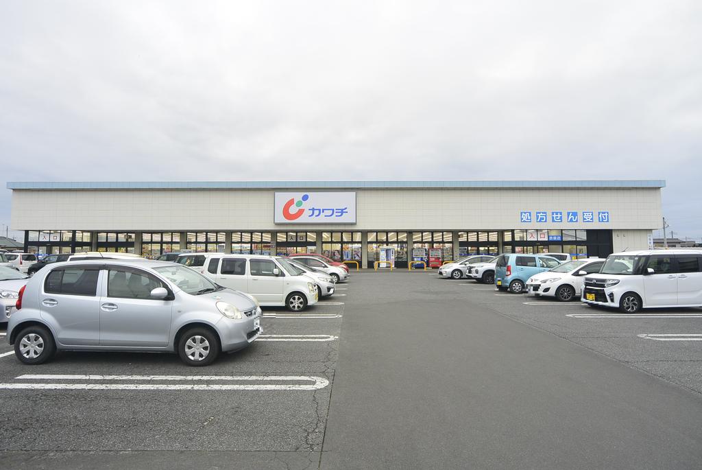 ドラックストア　カワチ薬品赤塚店（ドラッグストア）まで783m