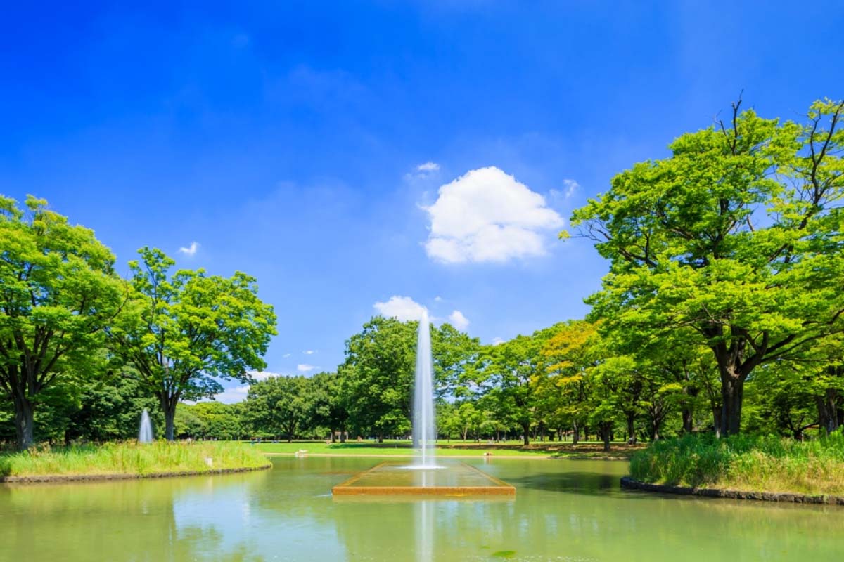 公園　東京都立代々木公園（公園）まで883m
