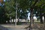 公園　中大江公園（公園）まで300m