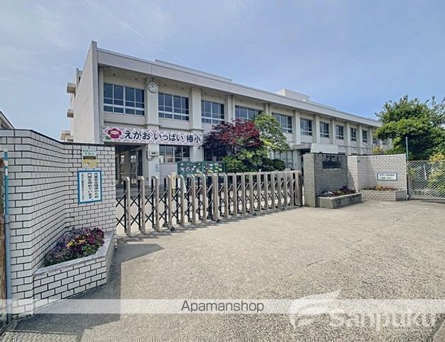小学校　椿小学校（小学校）まで710m
