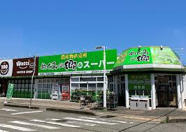 スーパー　めぐみの郷&激安スーパーめぐみのさと枝吉店（スーパー）まで88m