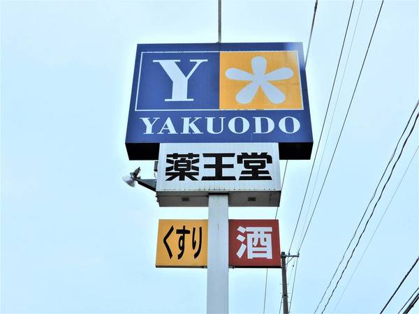 ドラックストア　薬王堂　盛岡厨川店（ドラッグストア）まで500m