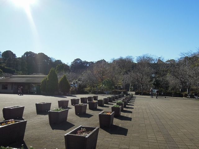 公園　清水船越堤公園（公園）まで1110m