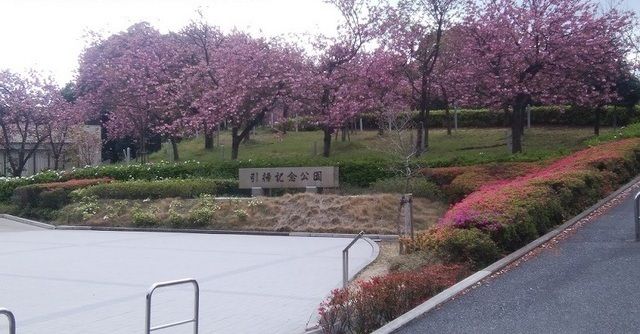 公園　舞鶴引揚記念公園（公園）まで1300m