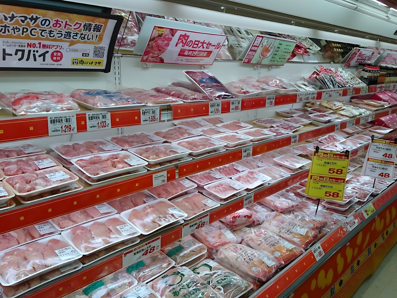 スーパー　肉のハナマサPLUS 大井町店（スーパー）まで100m