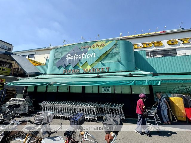 スーパー　セレクション 行徳店（スーパー）まで251m