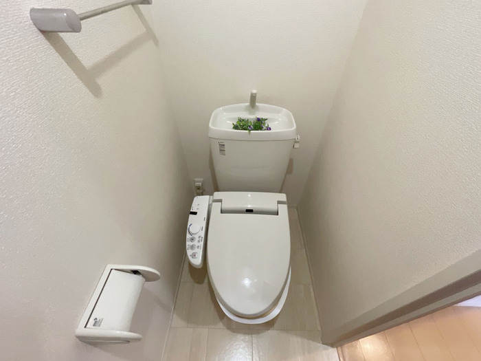 南海本線 紀ノ川駅 徒歩7分 2階建 築18年のトイレ写真
