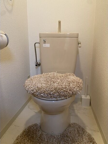 エステムコート神戸・県庁前IIのトイレ写真