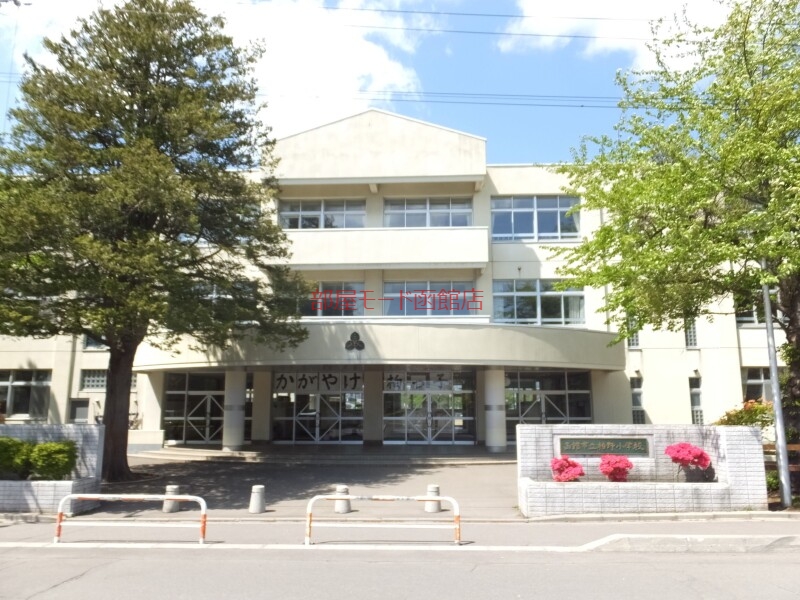 小学校　函館市立柏野小学校（小学校）まで246m