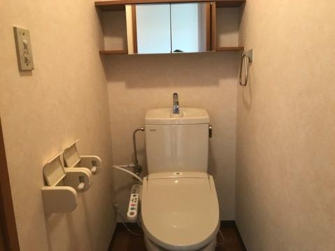 ＪＲ福塩線 万能倉駅 徒歩10分 2階建 築23年のトイレ写真