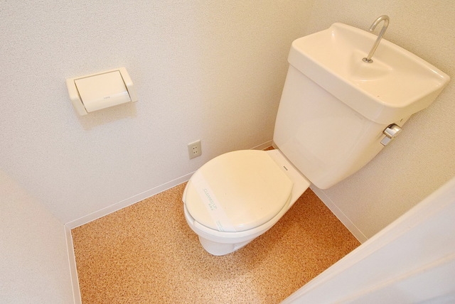 メゾンビガのトイレ写真