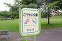 公園　こうせい公園（公園）まで332m