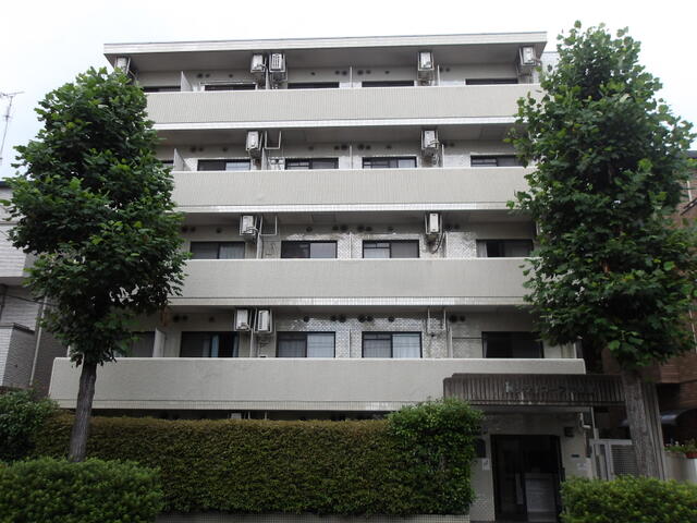 【川崎市中原区井田三舞町のマンションの建物外観】