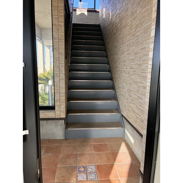 ステラ霞No.2_その他_4