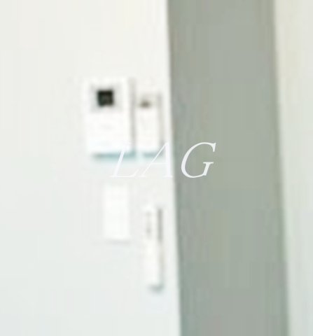 セキュリティ　モニター付きインターフォンです。