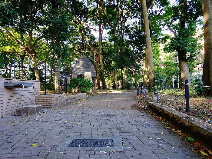 公園　区立三井の森公園（公園）まで486m