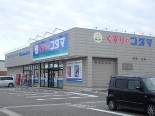 ドラックストア　ココカラファイン女池店（ドラッグストア）まで912m