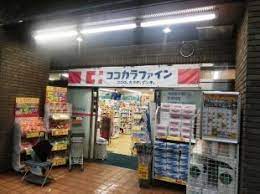 ドラックストア　ココカラファイン神楽坂中里町店（ドラッグストア）まで704m