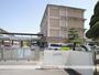小学校　蒲小学校（小学校）まで379m