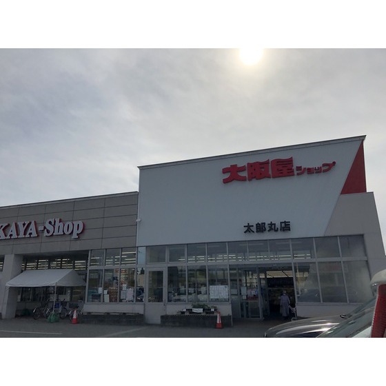 スーパー　大阪屋ショップ（スーパー）まで390m
